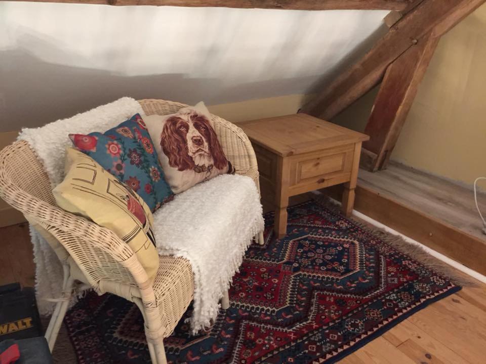 Gites Du Chateau De La Motte Joue-du-Plain Extérieur photo